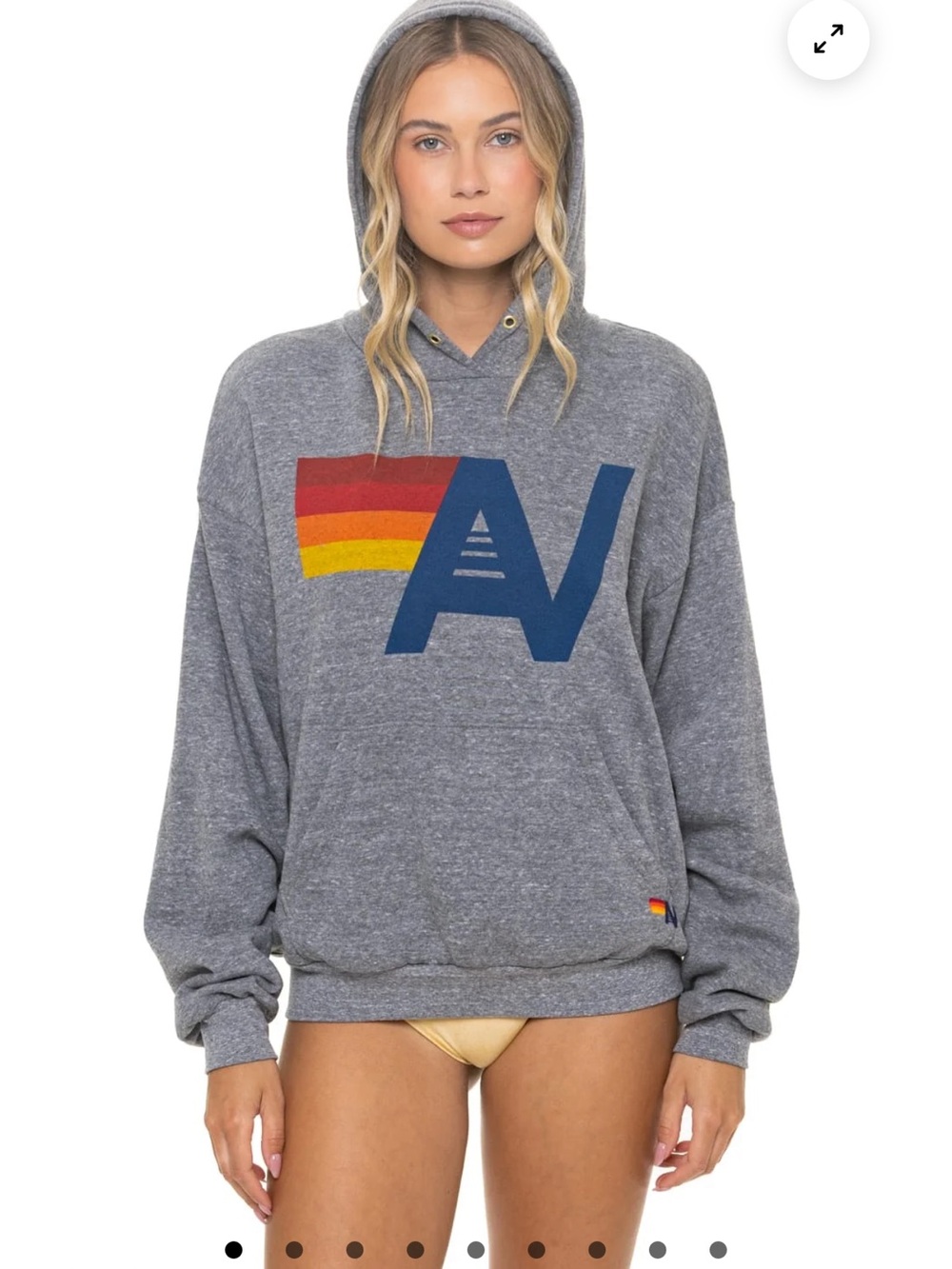 AV Logo Gray Hoodie Sweatshirt with Rainbow Accent